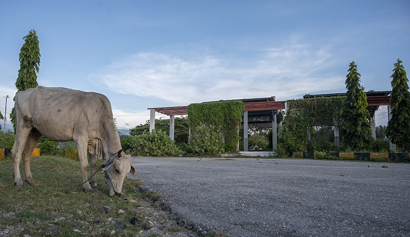 Melihat Kondisi Terminal Angkutan Darat Tambuli Sigi Terbengkalai - Bagian 2