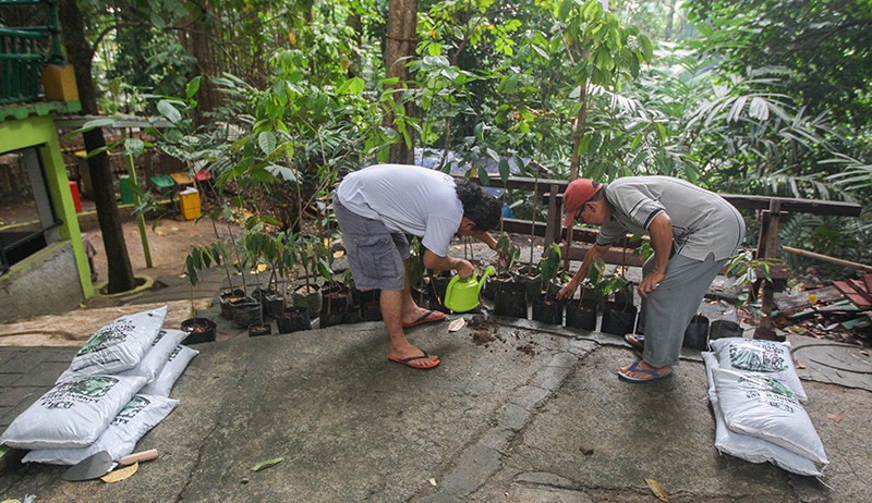 MNC Bank dan MNC Peduli Donasikan 100 Bibit Pohon kepada Ciliwung Institute - Bagian 5