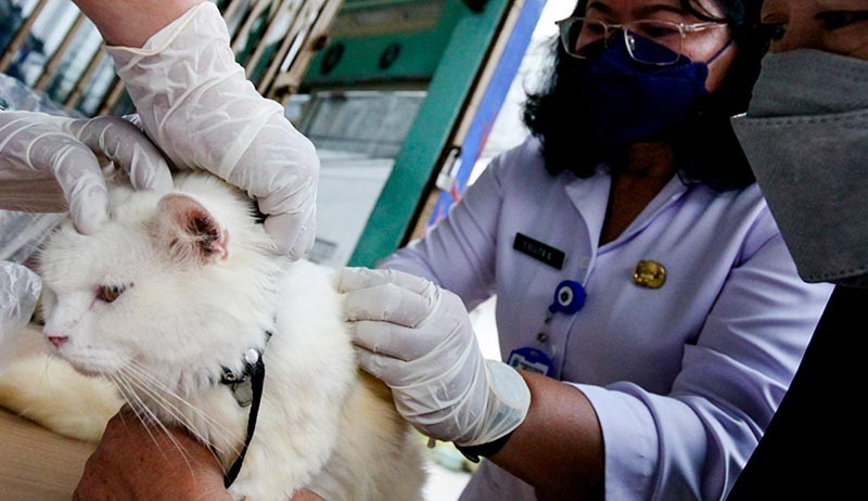 Masyarakat Mulai Peduli Vaksin Rabies Hewan Peliharaan - Bagian 2