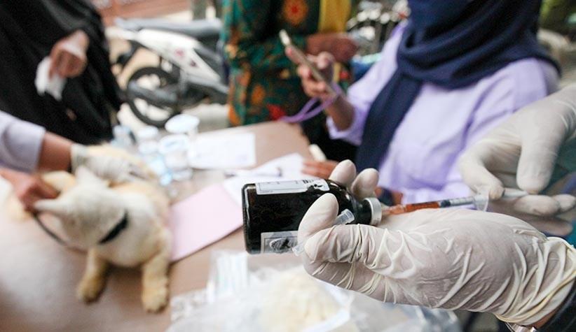 Masyarakat Mulai Peduli Vaksin Rabies Hewan Peliharaan - Bagian 4