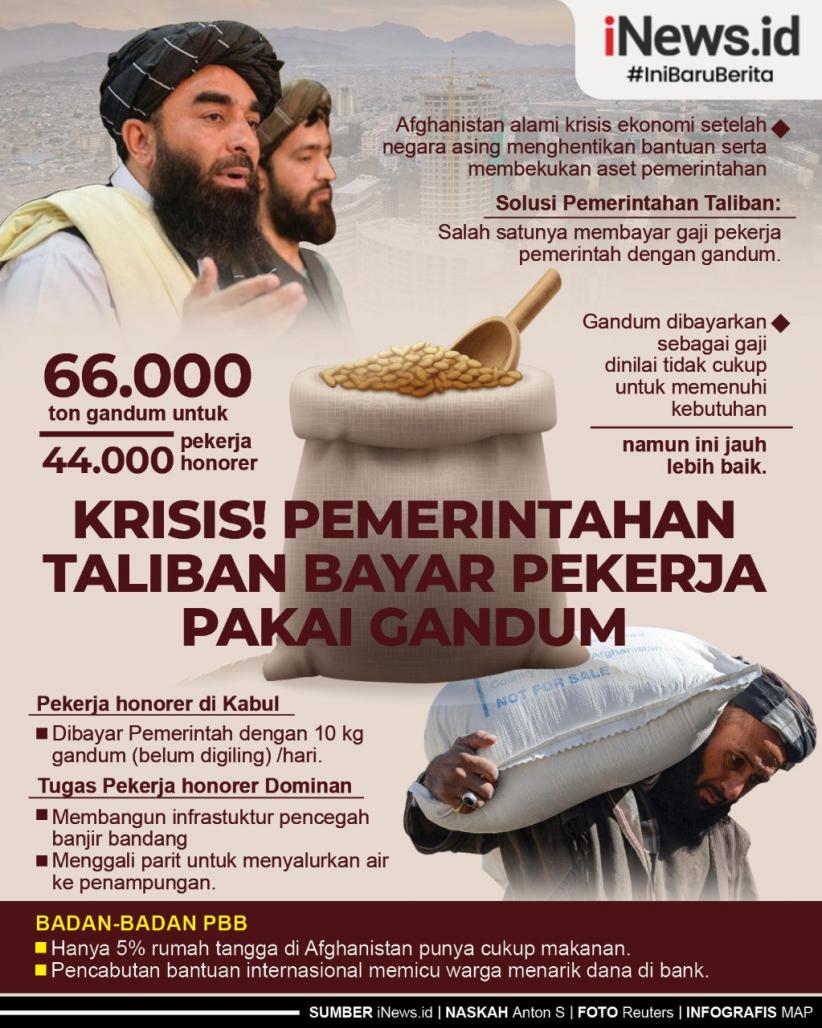 Infografis Krisis Pemerintahan, Taliban Bayar Pekerja Pakai Gandum