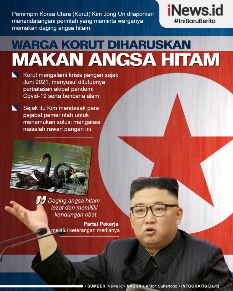 Infografis Kim Jong Un Perintahkan Warga Korut Makan Daging Angsa Hitam