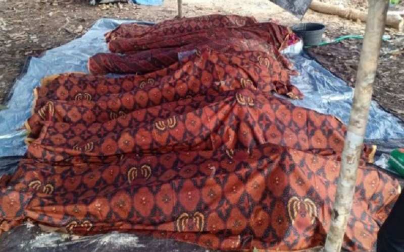 6 Penambang Emas Tradisional di Kotim Tewas Tertimbun Longsor, 5 Selamat