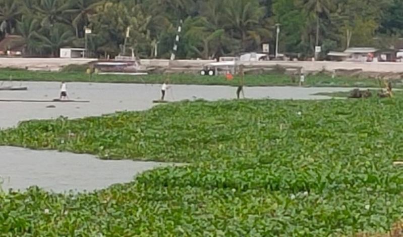   Kejar Gethek, Pemancing di Rawa Jombor Klaten Hilang Tenggelam