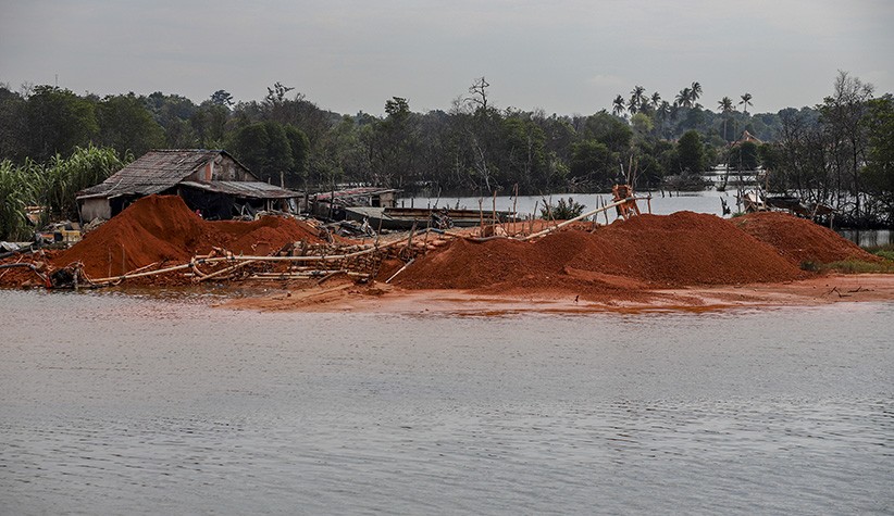 37.364 Hektare Hutan Mangrove di Kepulauan Riau Rusak akibat Pembukaan Lahan Baru - Bagian 3