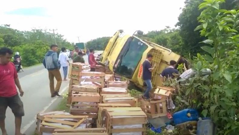 Kecelakaan di Jalinsum Bungo, Truk Masuk Jurang Hindari Motor