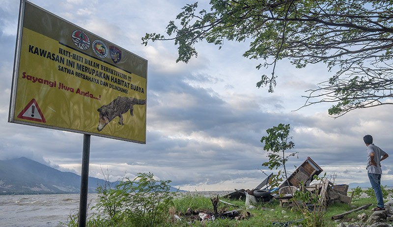 Jadi Habitat Buaya, Kawasan Wisata Pantai Teluk Palu Sepi Pengunjung - Bagian 3