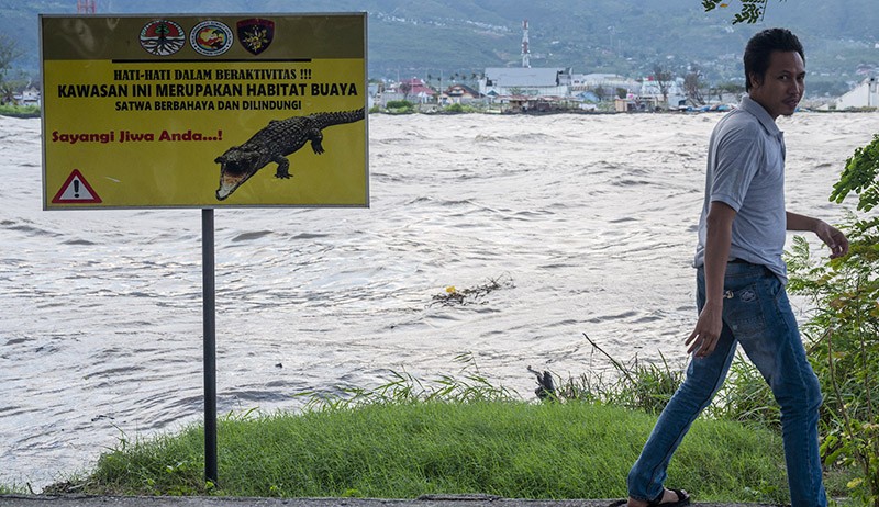 Jadi Habitat Buaya, Kawasan Wisata Pantai Teluk Palu Sepi Pengunjung - Bagian 1