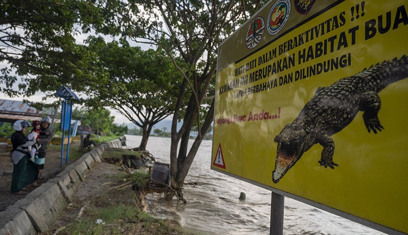 Jadi Habitat Buaya, Kawasan Wisata Pantai Teluk Palu Sepi Pengunjung - Bagian 2