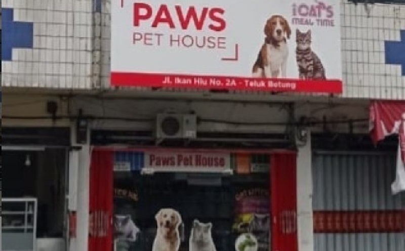 10 Pet Shop Terdekat di Bandar Lampung, Nomor 6 Bisa Bantu Kawinkan