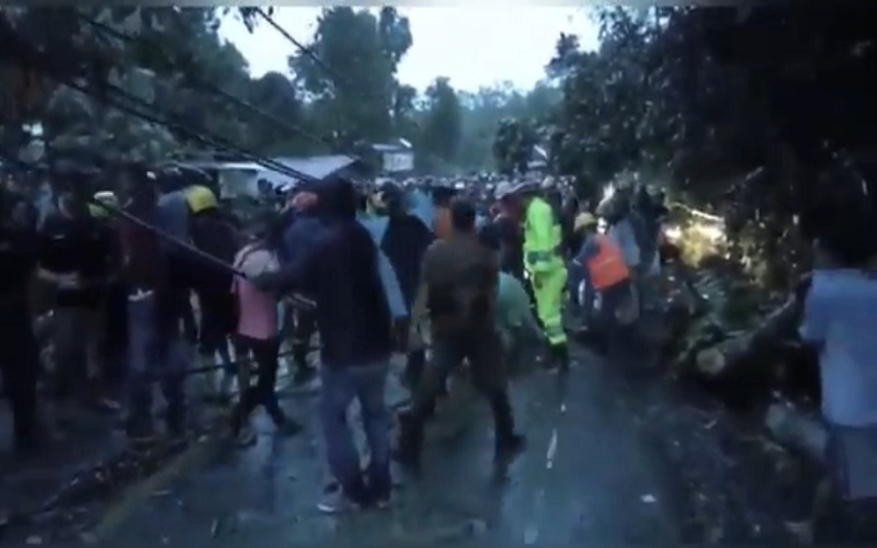 Cuaca Ekstrem, Muara Enim Gelap Gulita karena Pohon Tumbang 