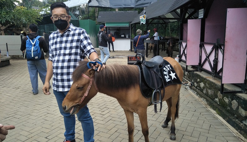Viral Kuda Terseret Banjir Bandang di Lembang Park and Zoo KBB, Ini Kata Pengelola