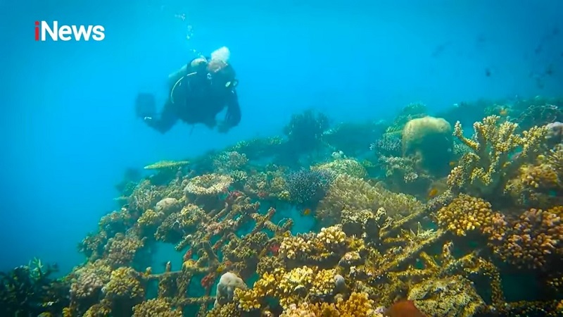 Melirik Indahnya Desa Wisata Penglipuran dan Pemuteran, Surga Tersembunyi di Bali