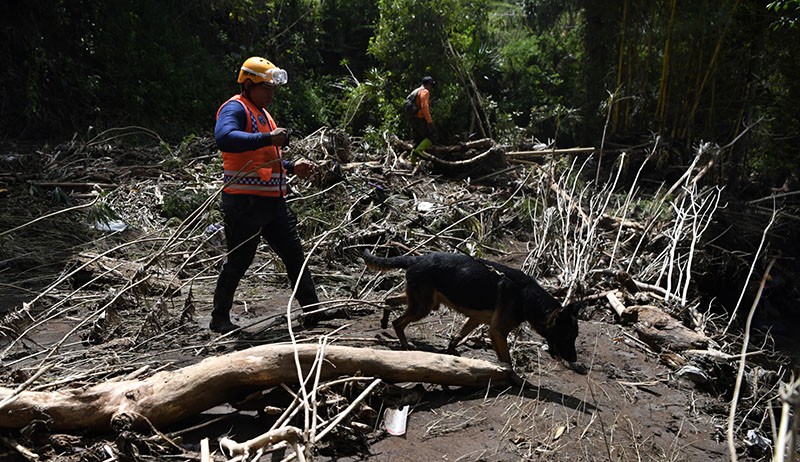 Tim SAR Kerahkan Anjing Pelacak Cari Korban Banjir Bandang Kota Batu - Bagian 2