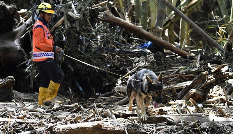 Tim SAR Kerahkan Anjing Pelacak Cari Korban Banjir Bandang Kota Batu