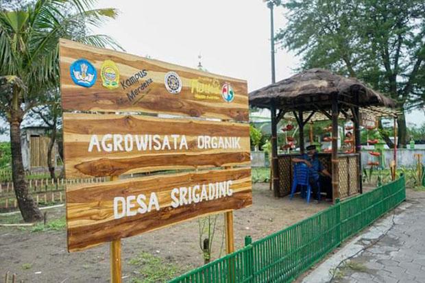 Bantul Berharap Agrowisata Organik di Sanden Mampu Geliatkan Wisata Samas