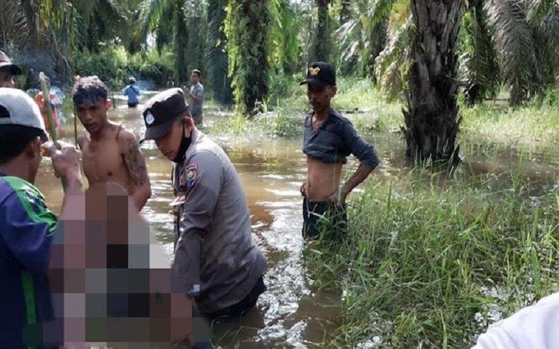 title Terseret Arus Sungai, Pencari Kayu di Muba Ditemukan Tewas di Kebun Sawit Terseret Arus Sungai, Pencari Kayu di Muba Ditemukan Tewas di Kebun Sawit