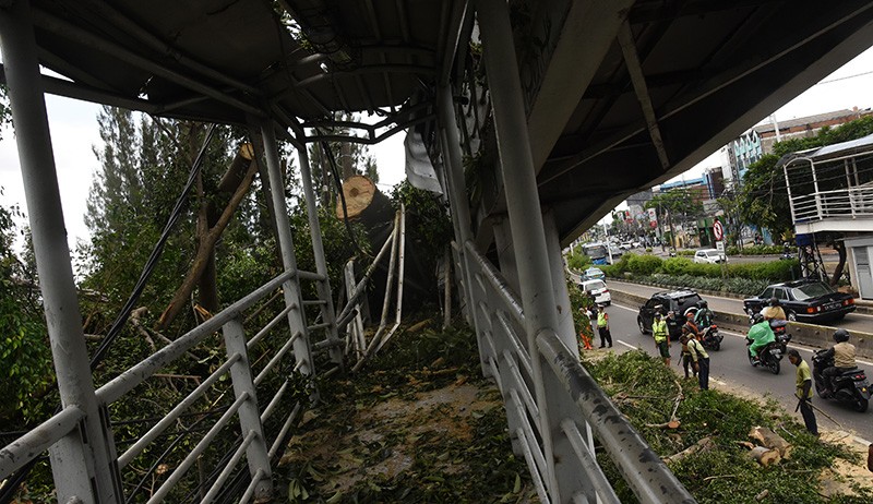 Pohon Tumbang Timpa JPO di Jalan Otista Raya, 2 Orang Terluka - Bagian 2