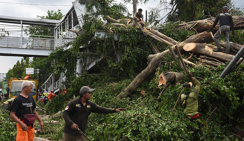 Pohon Tumbang Timpa JPO di Jalan Otista Raya, 2 Orang Terluka - Bagian 1