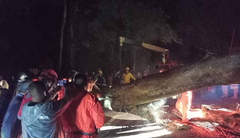 title Pohon Tumbang Tutup Jalan di Majalengka, Lalu Lintas Terputus Pohon Tumbang Tutup Jalan di Majalengka, Lalu Lintas Terputus