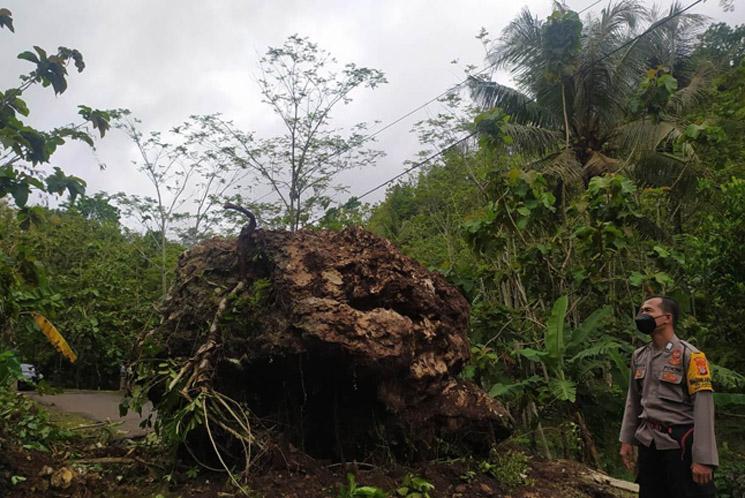 Batu Besar di Gunungkidul Longsor Tutup Jalan Desa