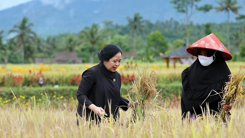 Puan Maharani Dorong Pertanian Jadi Wisata Unggulan di Indonesia