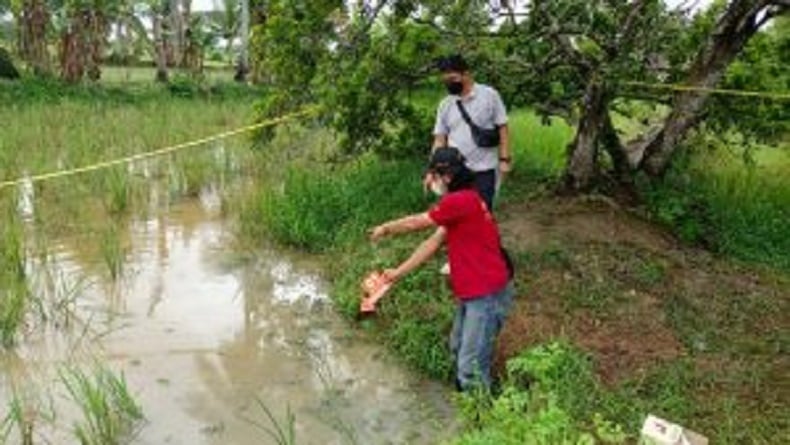 Hulu Sungai Utara Geger Bocah 14 Tahun Tewas di Sawah, Kematiannya Masih Diselidiki