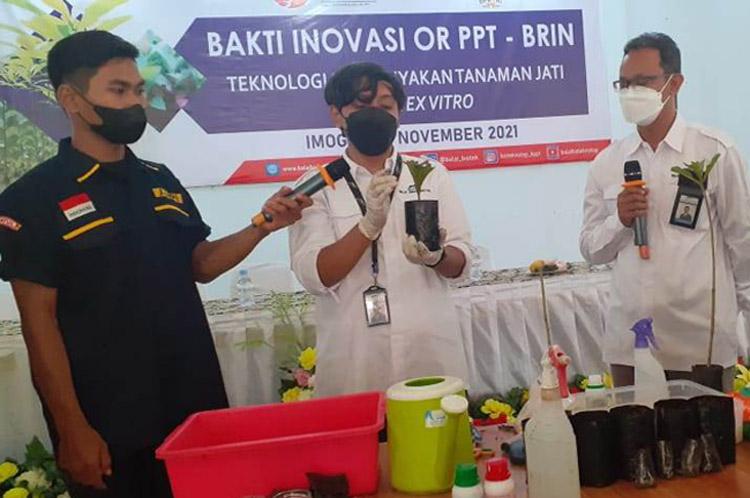 BRIN Latih Puluhan Milenial di Bantul Budi Daya Pohon Jati