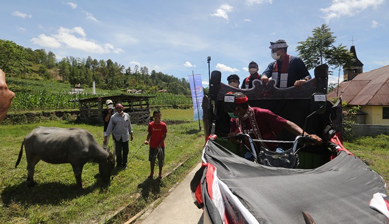Menteri Sandiaga Berikan Sepasang Kerbau untuk Bangkitkan Perekonomian Masyarakat Desa Huta Tinggi - Bagian 3