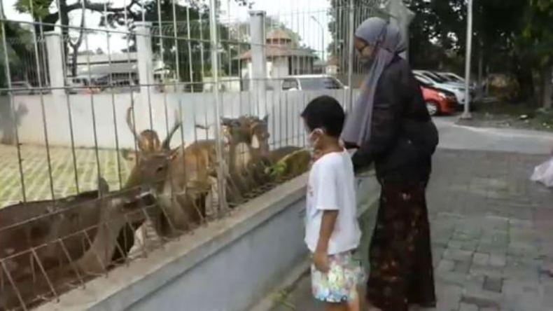 Menikmati Suasana Sejuk Taman Balekambang Sambil Memberi Makan Rusa 