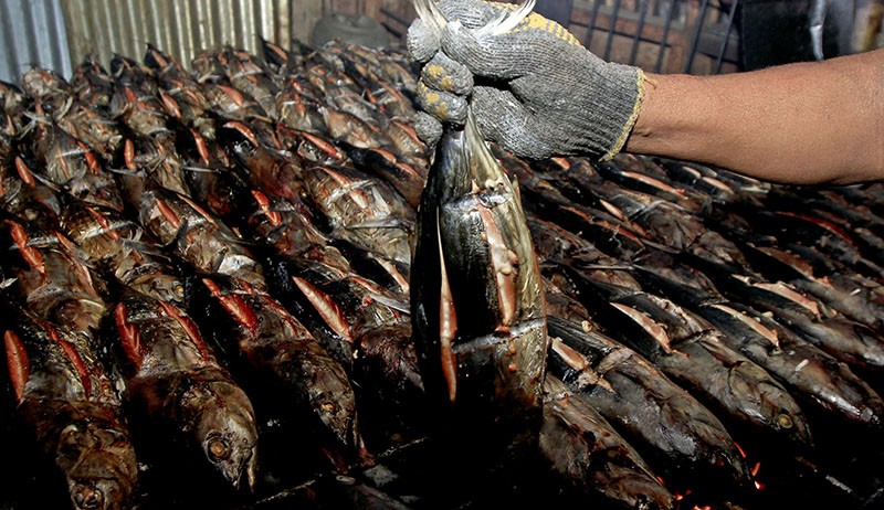 Ini Penyebab Harga Ikan Cakalang Naik Menjadi Rp100.000 per Ekor - Bagian 2