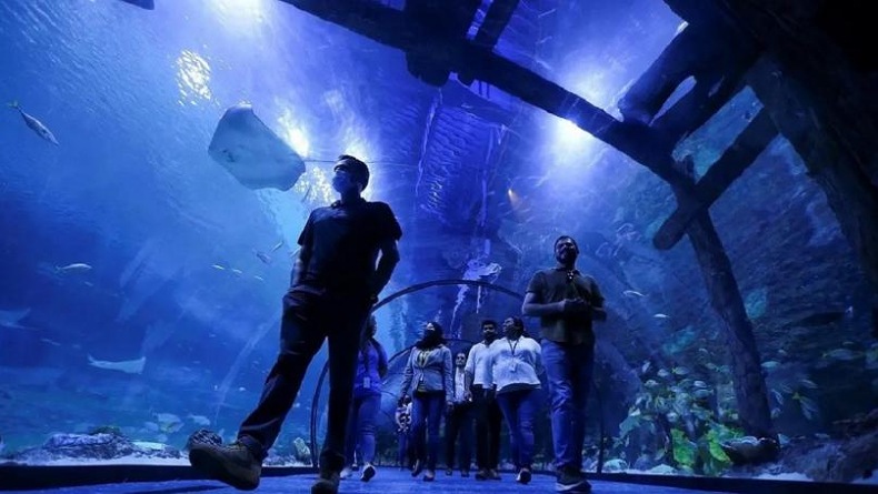 Akuarium Terbesar Timur Tengah Dibuka di Abu Dhabi, Diisi 45.000 Hewan