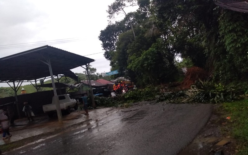 Longsor Tumbangkan Pohon Aren di Jampangtengah Sukabumi, Akses ke Surade Sempat Terganggu