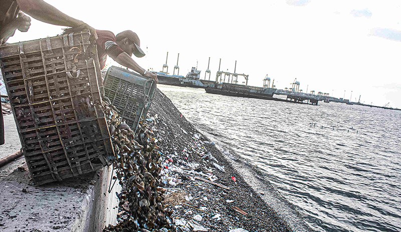 Kurang Edukasi, Warga Pesisir Jakarta Buang Limbah Kerang Hijau di Tepi Laut - Bagian 2