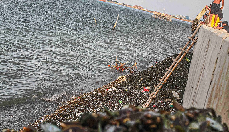 Kurang Edukasi, Warga Pesisir Jakarta Buang Limbah Kerang Hijau di Tepi Laut - Bagian 3