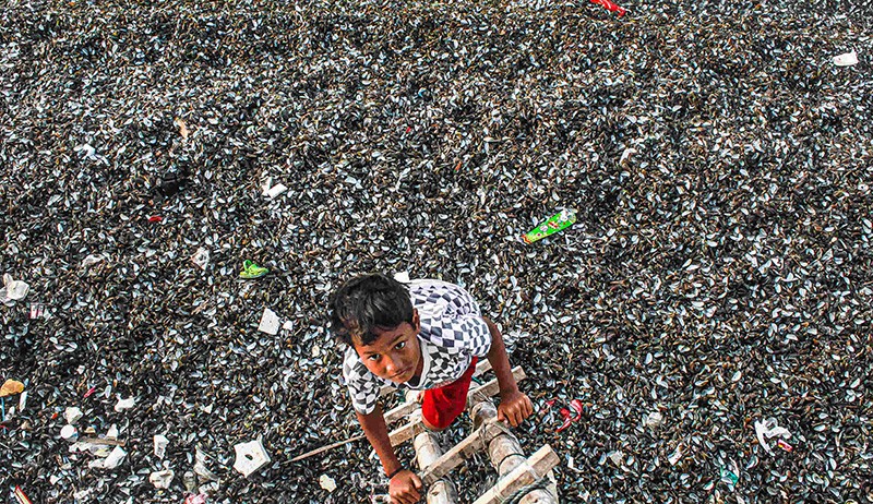 Kurang Edukasi, Warga Pesisir Jakarta Buang Limbah Kerang Hijau di Tepi Laut - Bagian 4