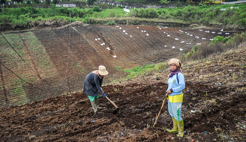400.000 Hektare Lahan Hijau Jawa Barat Beralih Fungsi Jadi Tambang dan Pertanian - Bagian 1