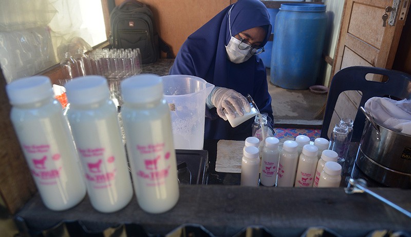 Permintaan Susu Kambing Etawa Meningkat Selama Pandemi - Bagian 2