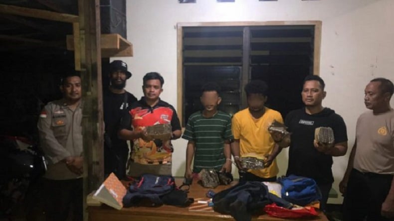 Polisi Tangkap 2 Pengedar Ganja di Perbatasan Papua Nugini, Hendak Transaksi Dekat PLBN