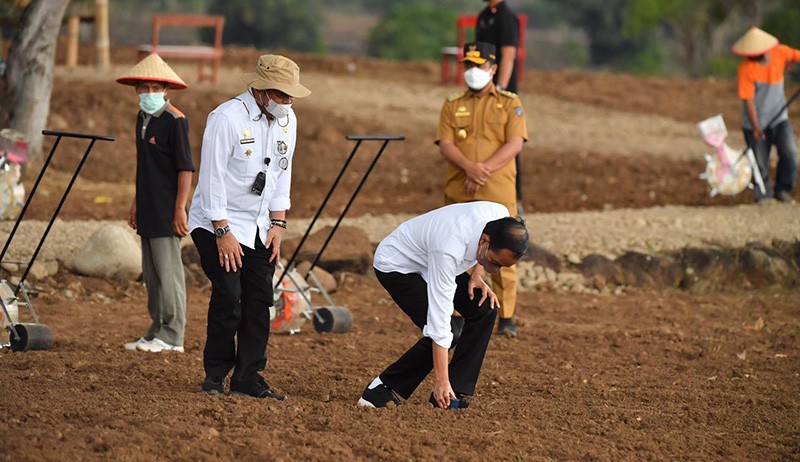Momen Presiden Jokowi Bawa Traktor, Tanam Jagung bersama Petani Jeneponto - Bagian 7