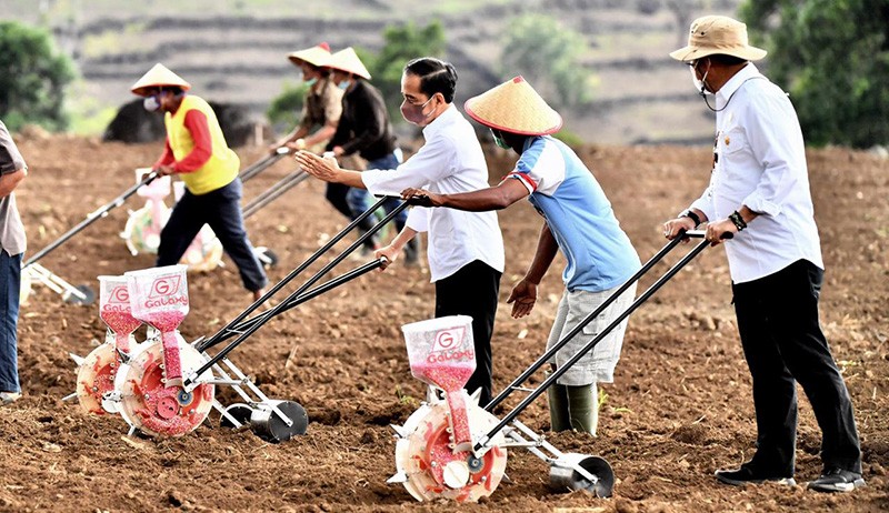 Momen Presiden Jokowi Bawa Traktor, Tanam Jagung bersama Petani Jeneponto - Bagian 6