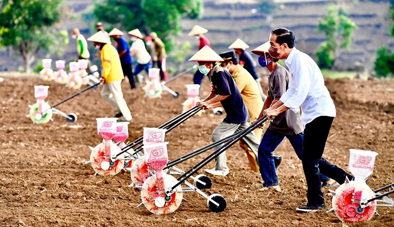 Momen Presiden Jokowi Bawa Traktor, Tanam Jagung bersama Petani Jeneponto - Bagian 5