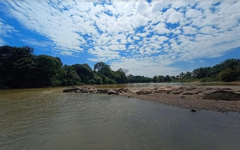 Cerita Rakyat di Sumatera Selatan, Si Pahit Lidah