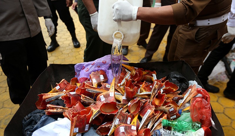 Penampakan Kulit Harimau Sumatera Dibakar - Bagian 3