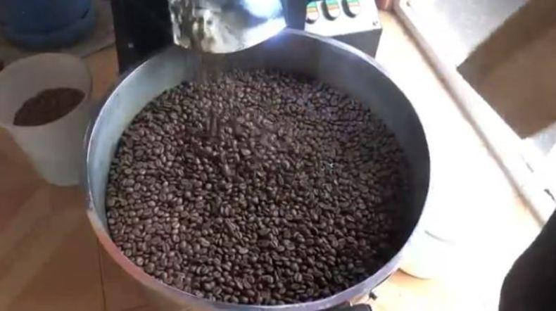 Mengenal Desa Tempur, Daerah Penghasil Kopi di Kabupaten Jepara 