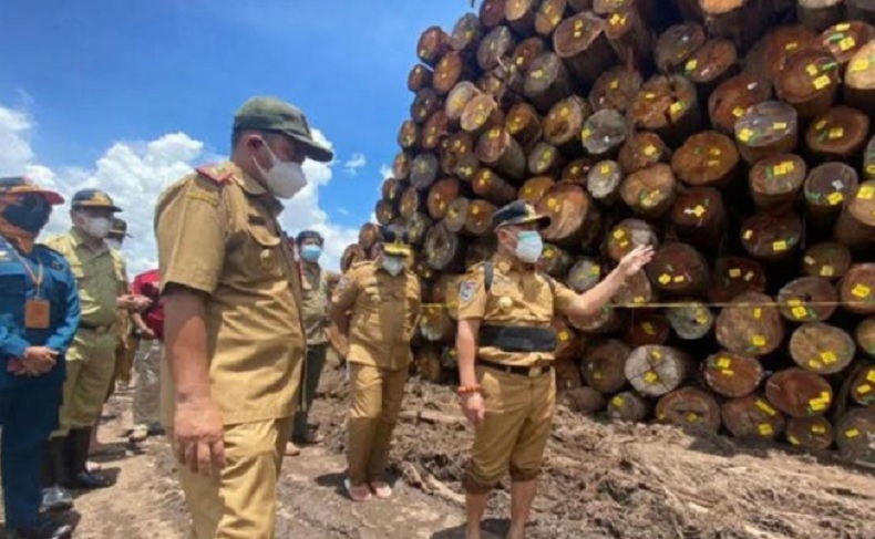 Kena Sidak Gubernur Kalteng, Perusahaan Kayu Didenda Rp6 Miliar