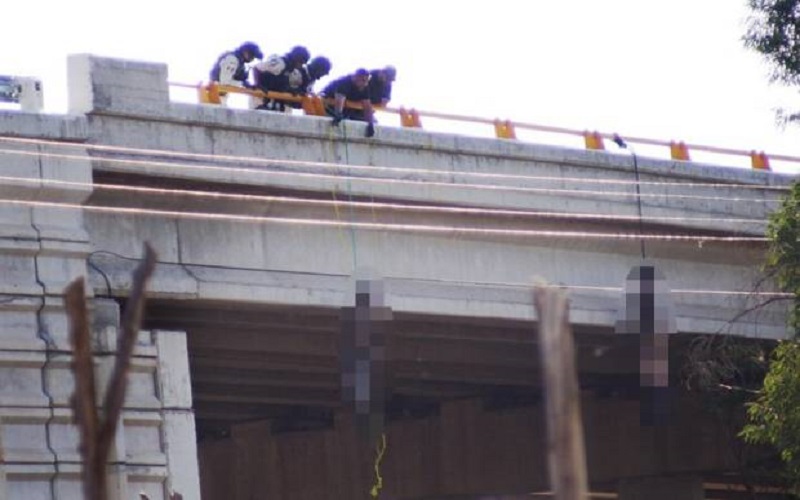Mengerikan, Mayat Pria Bergelantungan di Jembatan dan Pohon  