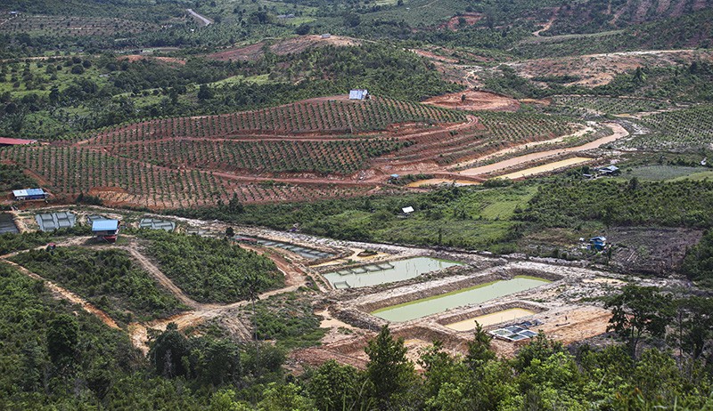 70 Persen Lahan Hutan Taman Buru Rempang Beralih Fungsi Jadi Permukiman-Perkebunan - Bagian 1