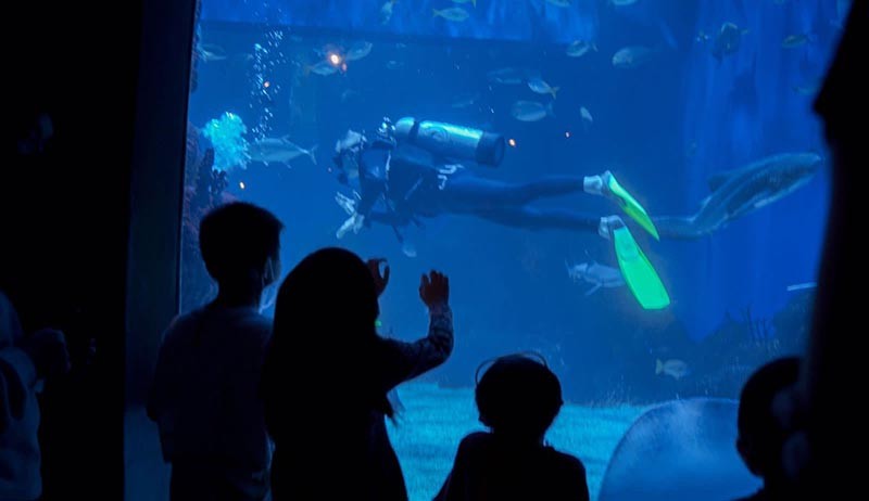 Wamenparekraf Harap Pengusaha Taman Rekreasi Dukung PPKM Level 3 saat Libur Nataru - Bagian 3