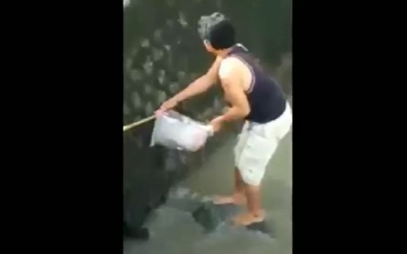 Loteng Gempar, Mayat Bayi dengan Ari-Ari Masih Menempel Ditemukan Mengapung di Kali 